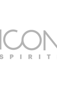Logo Icon Spirits